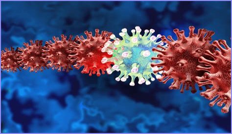 Omicron Covid-19: First case of new subvariant BQ.1.1 in New Zealand confirmed